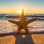 adsgh aedrtk profile picture